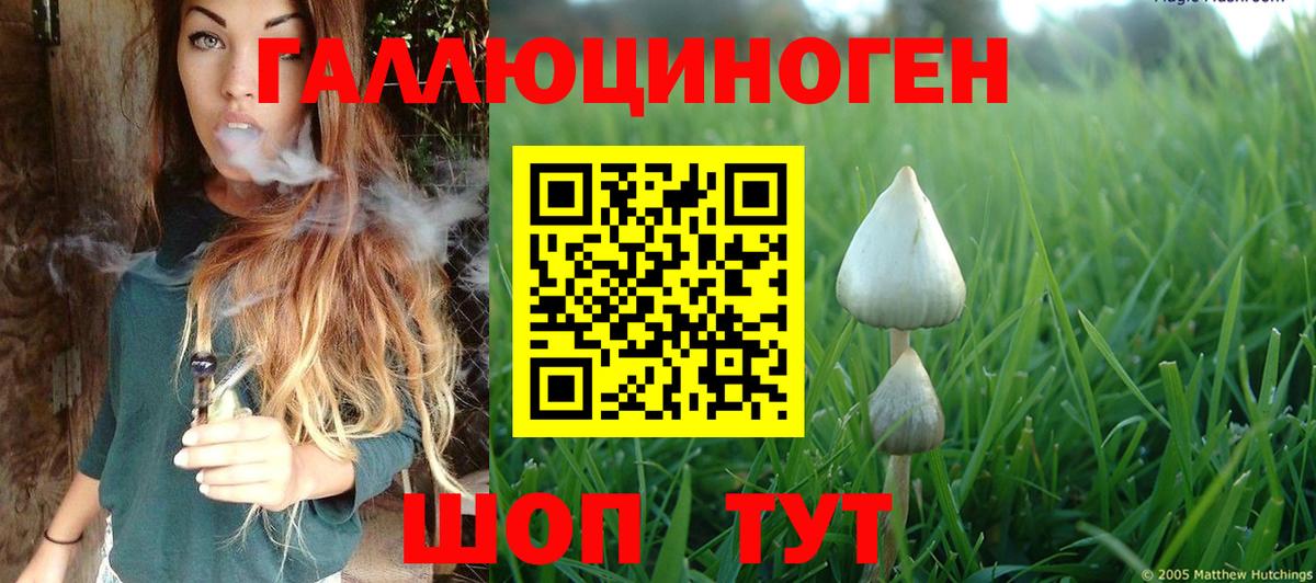 Галлюциногенные грибы MAGIC MUSHROOMS  Вход с VPN  Михайловск 